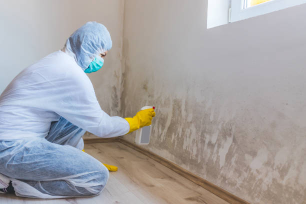 Hvac And Air Duct Mold Remediation inspection of HVAC system in Greenvale
