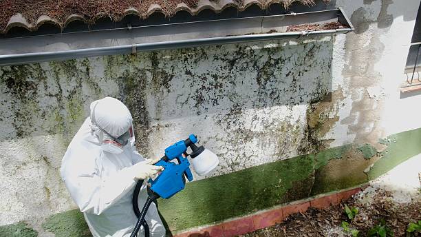 Clearance testing in Greenvale